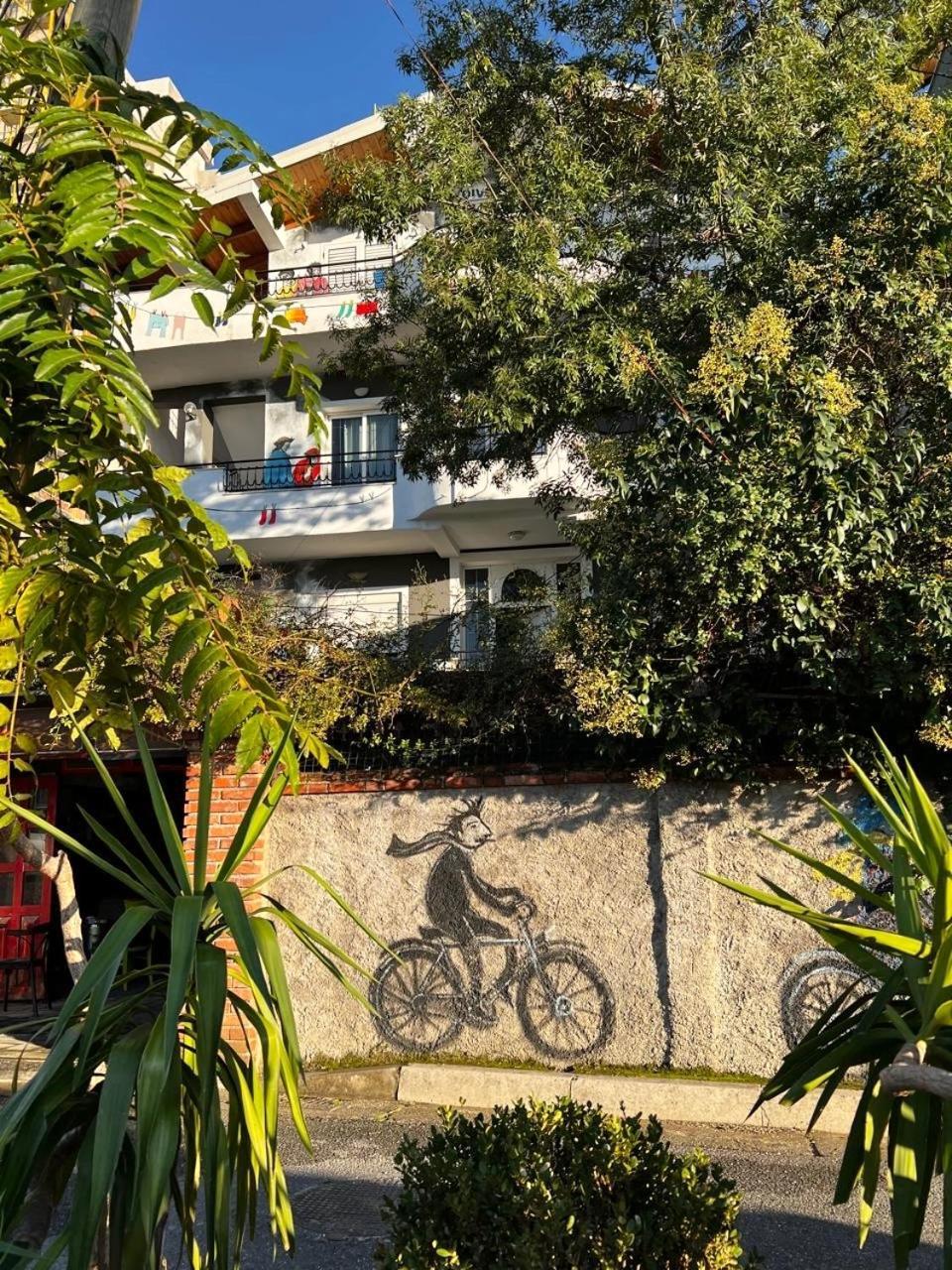 טיראנה Divina Hostel מראה חיצוני תמונה