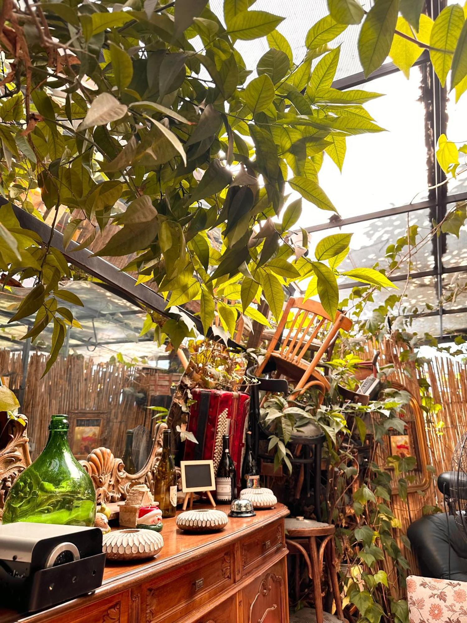 טיראנה Divina Hostel מראה חיצוני תמונה